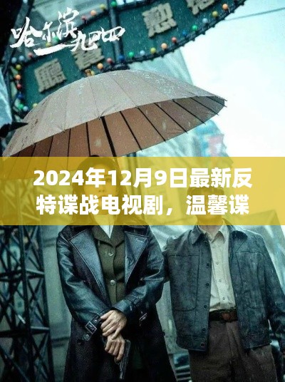 温馨谍影,反特谍战中的日常温情(最新电视剧)