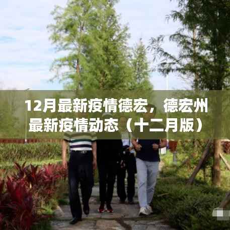 德宏州最新疫情动态(十二月版),关注要点与防控科普知识普及