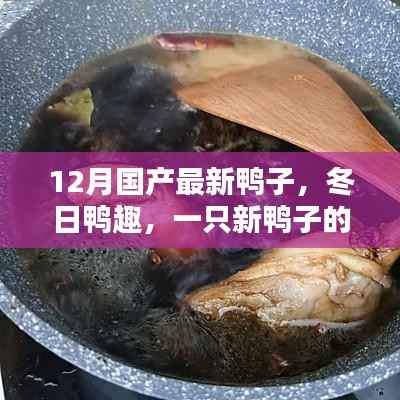 冬日新鸭温馨日常,国产最新鸭子的趣味日常