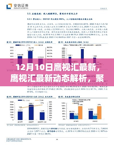 聚焦未来发展趋势,鹰视汇最新动态解析(12月10日版)