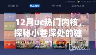 探秘小巷深处的UC热门内核特色小店,揭秘十二月热门风味之谜