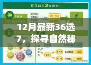 探寻自然秘境,最新36选7的心灵之旅