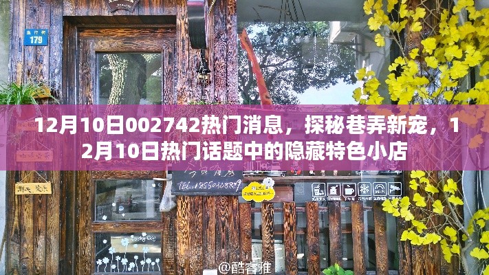 探秘巷弄新星,揭秘隐藏特色小店,热门话题热议不断!