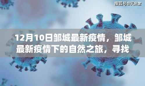 邹城最新疫情下的自然之旅,寻找内心的宁静与微笑的力量之旅