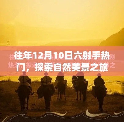 探索自然美景之旅,六射手热门寻找内心的宁静与乐趣之旅