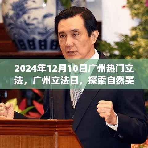广州立法日,探索自然美景之旅,寻找内心的宁静与平和(2024年12月10日)