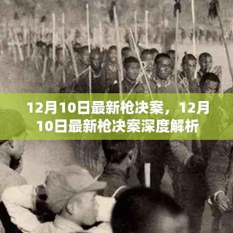 12月10日最新枪决案,深度解析与报道