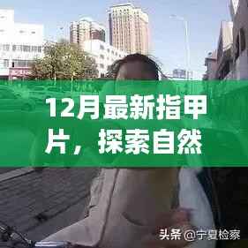 最新指甲片引领自然美景之旅,寻找内心的宁静与平和