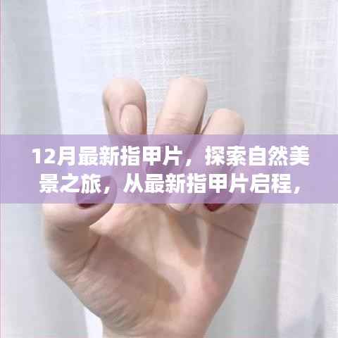 最新指甲片引领自然美景之旅,寻找内心的宁静与平和