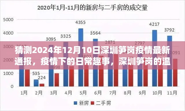 深圳笋岗疫情下的温馨时光与日常趣事,最新通报猜测(2024年12月10日)