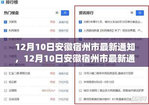 安徽宿州市政策更新详解,12月10日最新通知与民众生活紧密相关事项解析