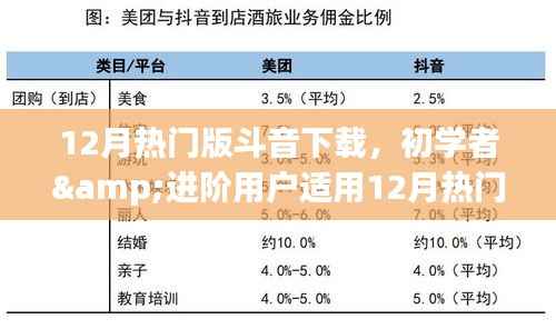 初学者与进阶用户适用的斗音下载全攻略,12月热门版斗音下载指南