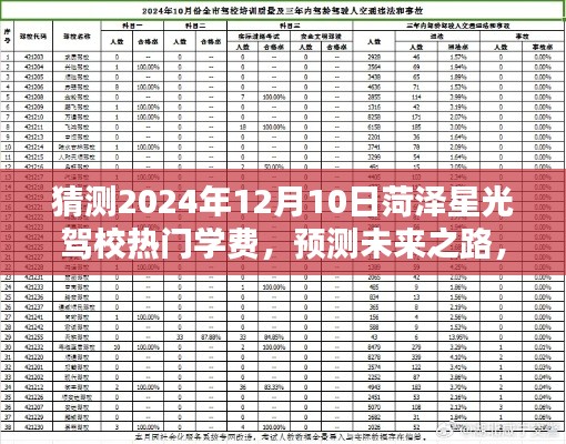 菏泽星光驾校学费预测,未来走势分析与初学者指南(2024年预测版)