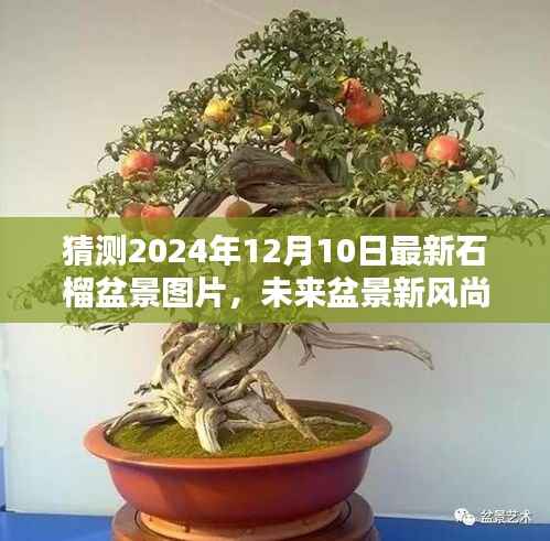 揭秘石榴盆景智能图像生成系统,预测未来盆景新风尚,独家体验报告(附最新盆景图片)