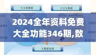 2024全年资料免费大全功能346期,数据整合执行策略_N版10.534