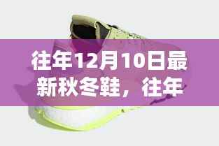 精选时尚秋冬鞋款,舒适与潮流并存——往年12月10日最新精选鞋履回顾