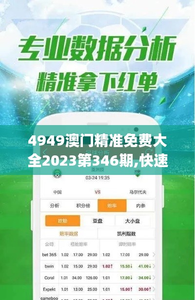 4949澳门精准免费大全2023第346期,快速响应计划解析_试用版1.525