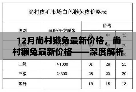 尚村獭兔最新价格深度解析,市场趋势预测与深度探讨