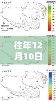 往年12月10日西藏局势最新消息深度解析与观察