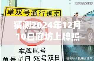 廊坊明日上牌风云揭秘,预测未来热门消息与欢乐时光(2024年12月10日)