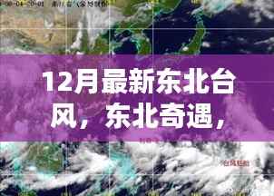东北奇遇,台风下的日常小温馨