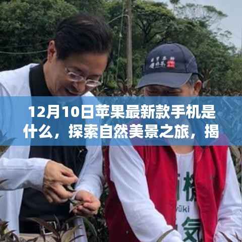 揭秘苹果最新款手机,探索自然美景之旅,寻找内心的平和之地(12月10日最新资讯)