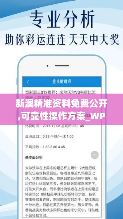 新澳精准资料免费公开,可靠性操作方案_WP13.285