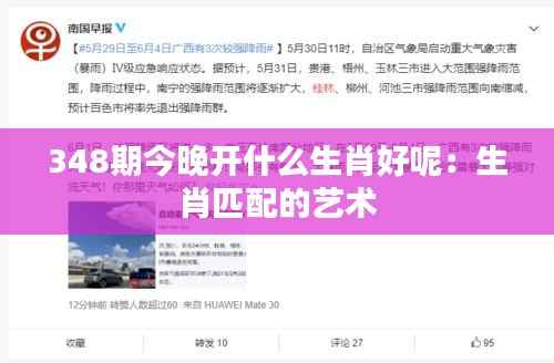 348期今晚开什么生肖好呢:生肖匹配的艺术