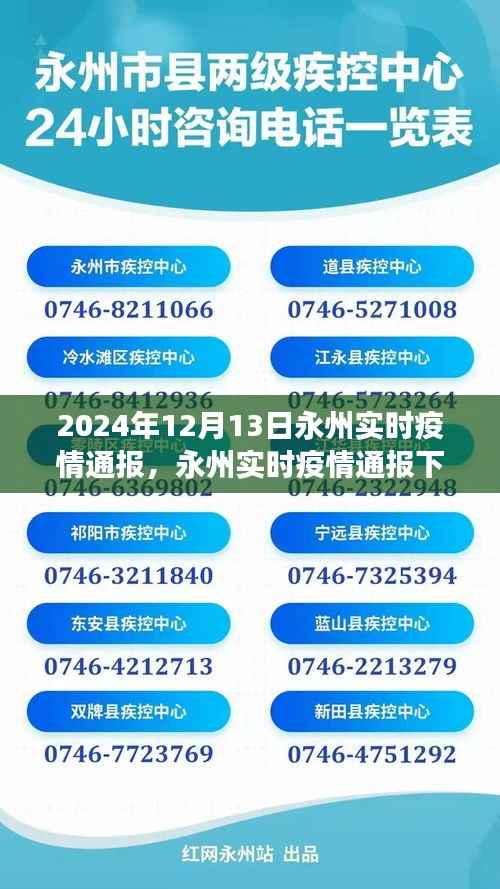 2024年12月13日永州实时疫情通报多维度视角分析