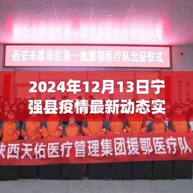 宁强县疫情最新动态实时报告,深度解析与体验评测