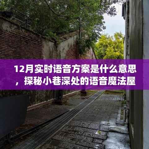 探秘小巷深处的语音魔法屋,揭秘12月实时语音方案的神秘面纱