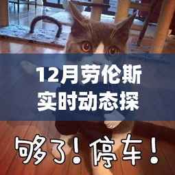 12月劳伦斯实时动态探头最新进展,引领技术革新,实时探测再升级