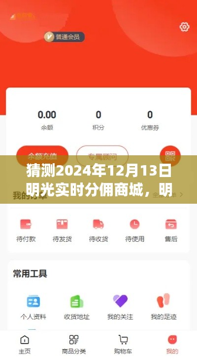 明光实时分佣商城入门操作详解与未来趋势预测,2024年12月13日指南
