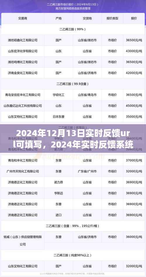 2024实时反馈系统升级,开启URL监控与优化新纪元