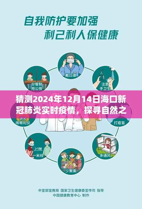 海口之旅,疫情遐想与心灵探索,探寻自然之美与疫情实时关注