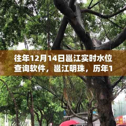 撼天动地 第2页