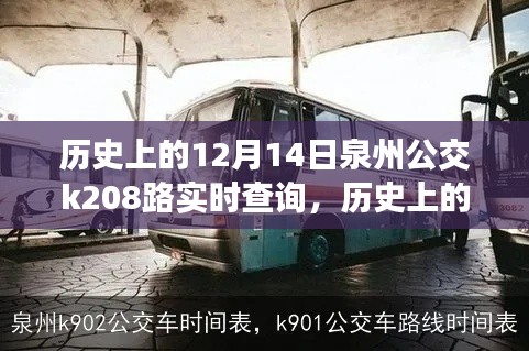 历史上的12月14日泉州公交K208路,变迁与励志之旅,成就梦想之路实时查询