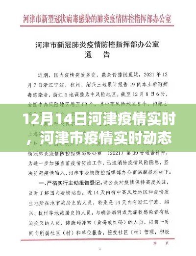 河津市疫情实时动态更新,防控进展与公众关注焦点聚焦