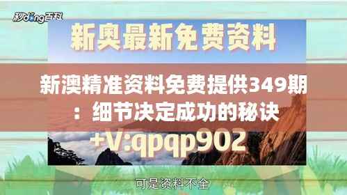 新澳精准资料免费提供349期:细节决定成功的秘诀