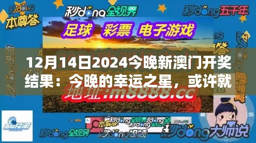 12月14日2024今晚新澳门开奖结果:今晚的幸运之星,或许就是你!