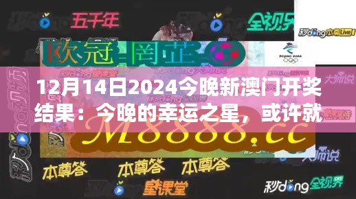 12月14日2024今晚新澳门开奖结果:今晚的幸运之星,或许就是你!