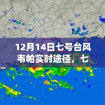 七号台风韦帕来袭,追寻内心平静的台风之旅