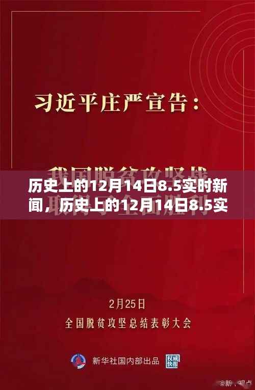 历史上的12月14日实时新闻深度报道与产品评测