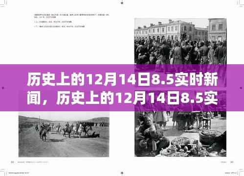 历史上的12月14日实时新闻深度报道与产品评测