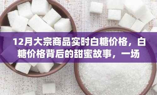 白糖价格背后的故事,友情与陪伴的甜蜜旅程,实时大宗商品白糖价格解析