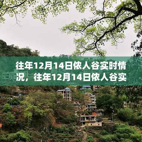 往年12月14日侬人谷实时情况回顾与观察