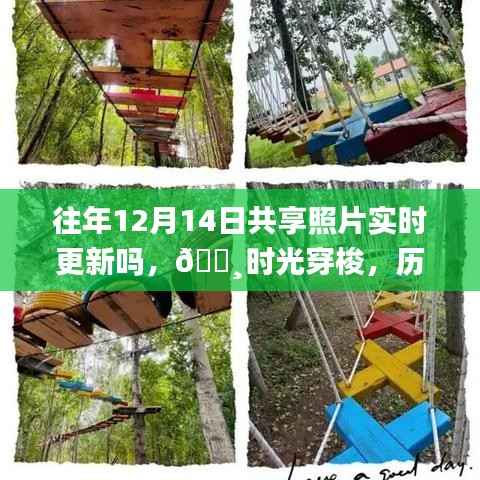 历年12月14日共享照片实时更新背后的科技魔法魅力,时光穿梭体验回顾