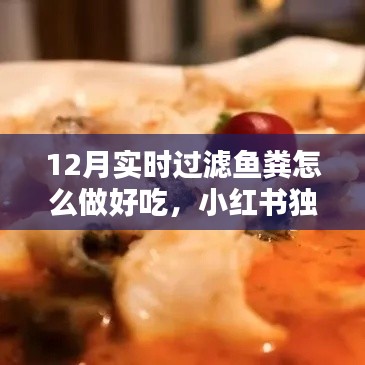 独家揭秘,12月过滤鱼粪美味烹饪秘籍,小红书教你做美食