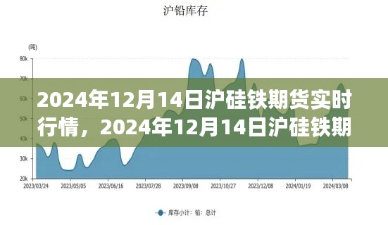 2024年12月14日沪硅铁期货实时行情深度解析