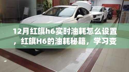 红旗H6实时油耗设置详解,驾驭未来的智慧,油耗秘籍与自信闪耀之旅